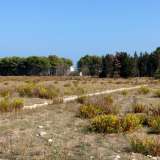Facciamo quindi marcia indietro per ritrovarci sul prolungamento di via Caldarola, l'ultima strada che abbiamo intenzione di perlustrare. Proseguiamo e sulla sinistra avvistiamo un altro boschetto